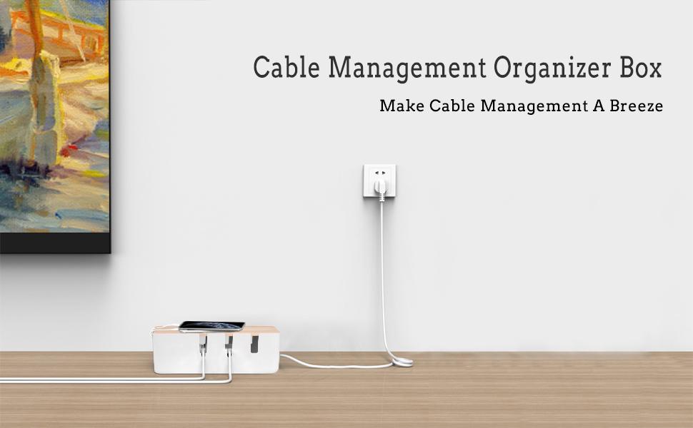 Baskiss Cable Management Box wood lid