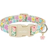 Astdogio Cotton Dog Collar with Colorful Flowers for Spring Summer, Adjustable Puppy Dog Collars ...