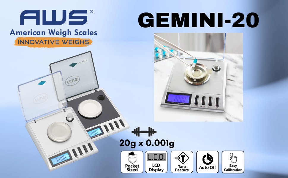 gemini-20