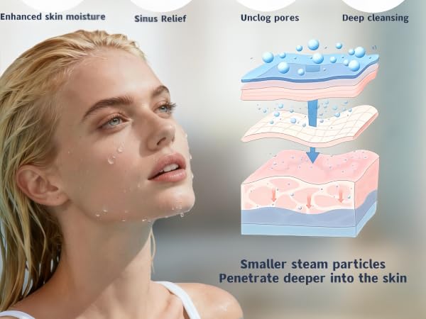 face steamer