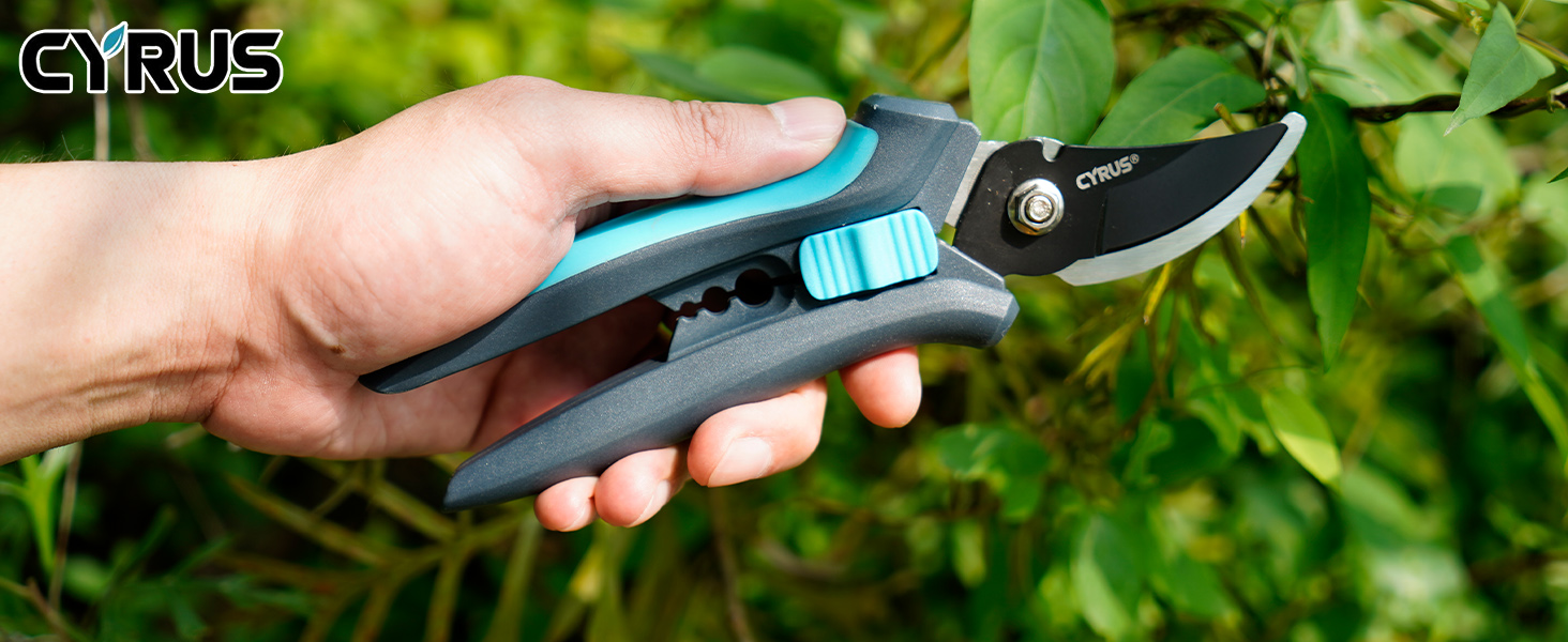shears
