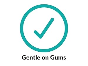 Prepasted Disposable Toothbrushes