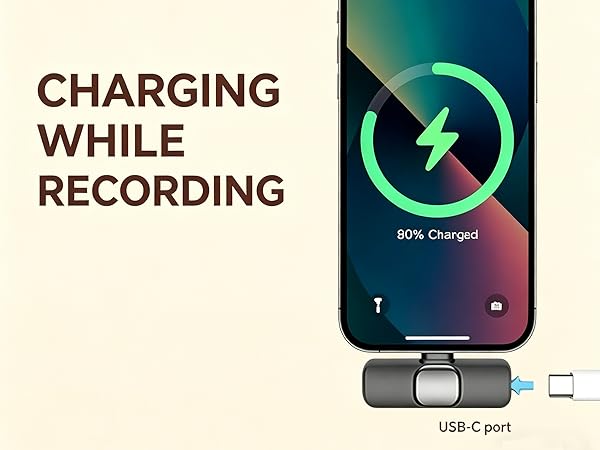 mic for phone