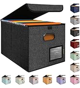 BALEINE File Organizer Box with Lid, Collapsible File Folder Organizer with Plastic Slide, Hangin...