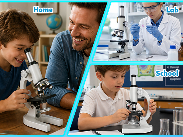 Home / School / Lab