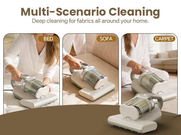 couch cleaner