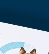 top right corner image