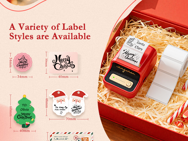 NIIMBOT B21 Christmas Label Maker for Gift