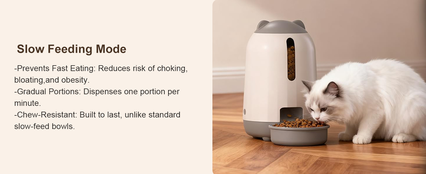 automatic cat feeder wifi small pet feeder automatic pet feeder cat automatic feeder