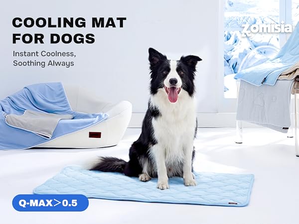 cooling mat for dogs