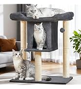 Cat Tree Tower Scratching Post for Indoor Large Cats, Small Cat Tree with Big Perch Bed, 28in Tal...