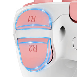 ps4 controller dualshock 4
