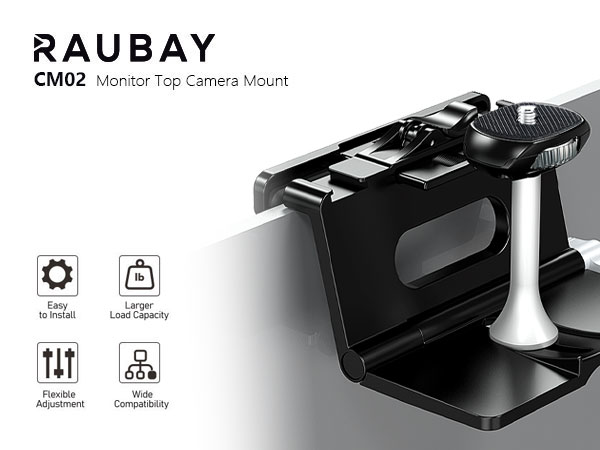 DSLR monitor mount