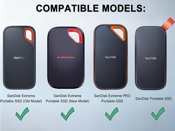 sandisk ssd carrying case