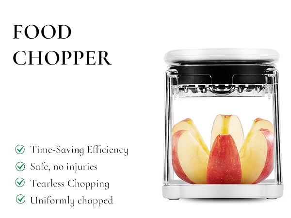 Potato Cutter for Fries