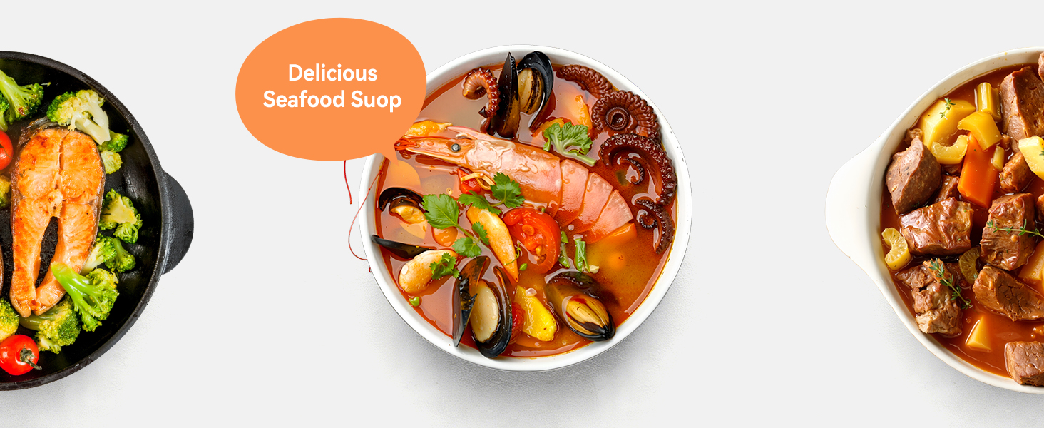 induction cooktop portable