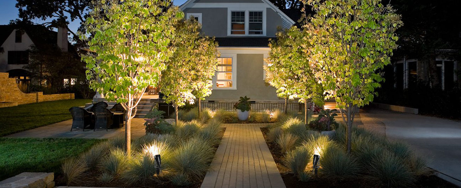 solar uplights for trees