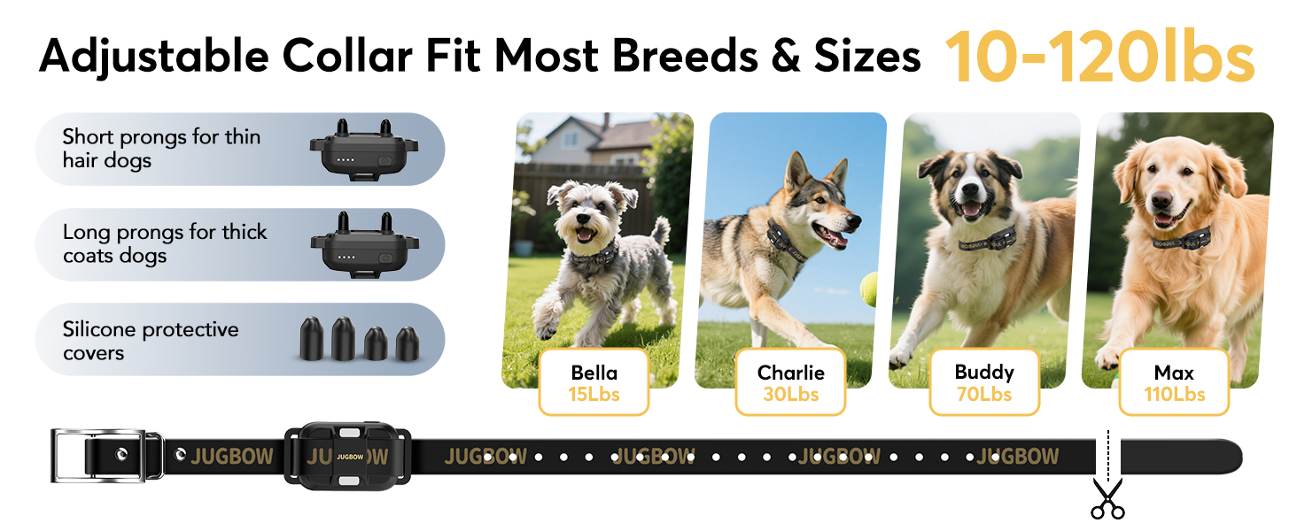 dog collar for large dogs