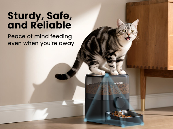 auto cat feeder