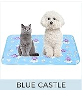 Blue castle
