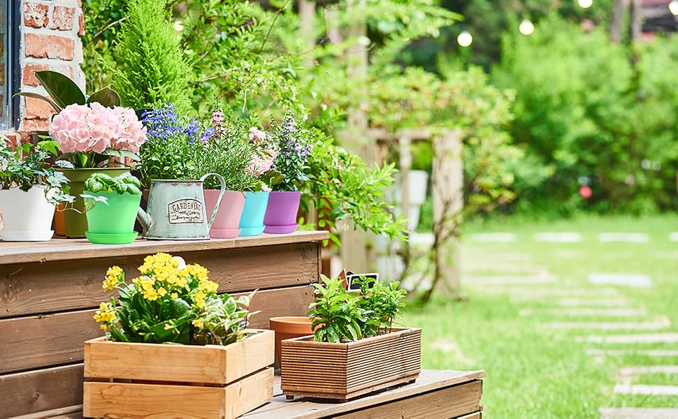 mini flower pots