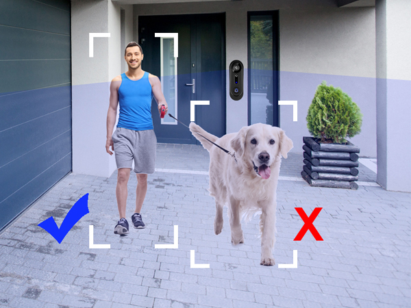 Outdoor scene with a person and a dog. Person is within a white frame with a blue checkmark, dog is outside frame with red X.