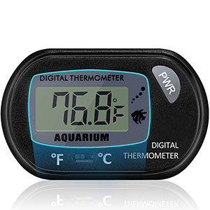 digital thermometer