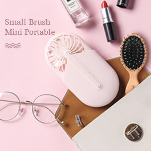 small hair brush