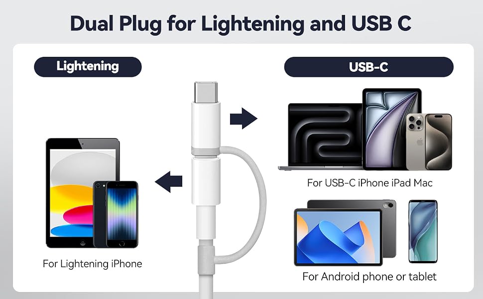 dual plug