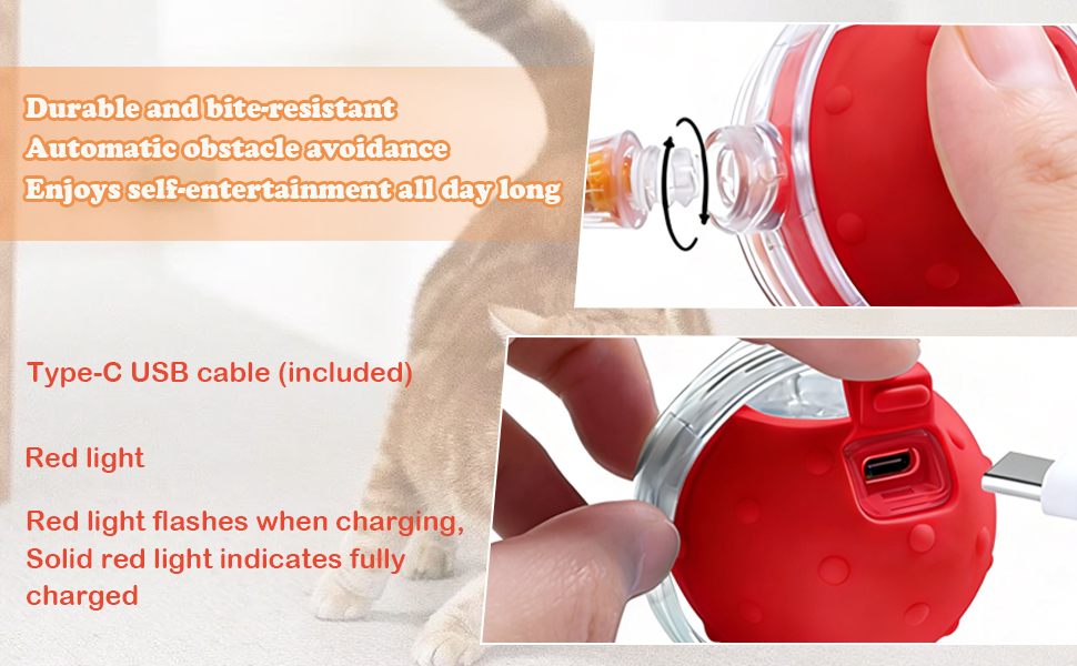 Durable Interactive Cat Toys for Indoor Cats