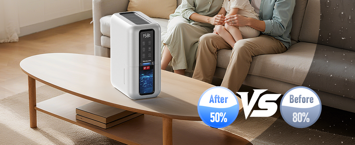dehumidifier for garage