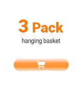 haging fruit basket