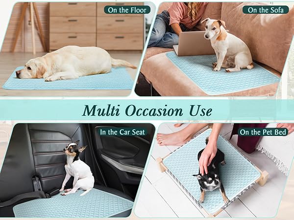 Perfect for Indoor and Outdoor Use: