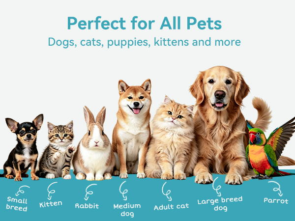pet wet wipes