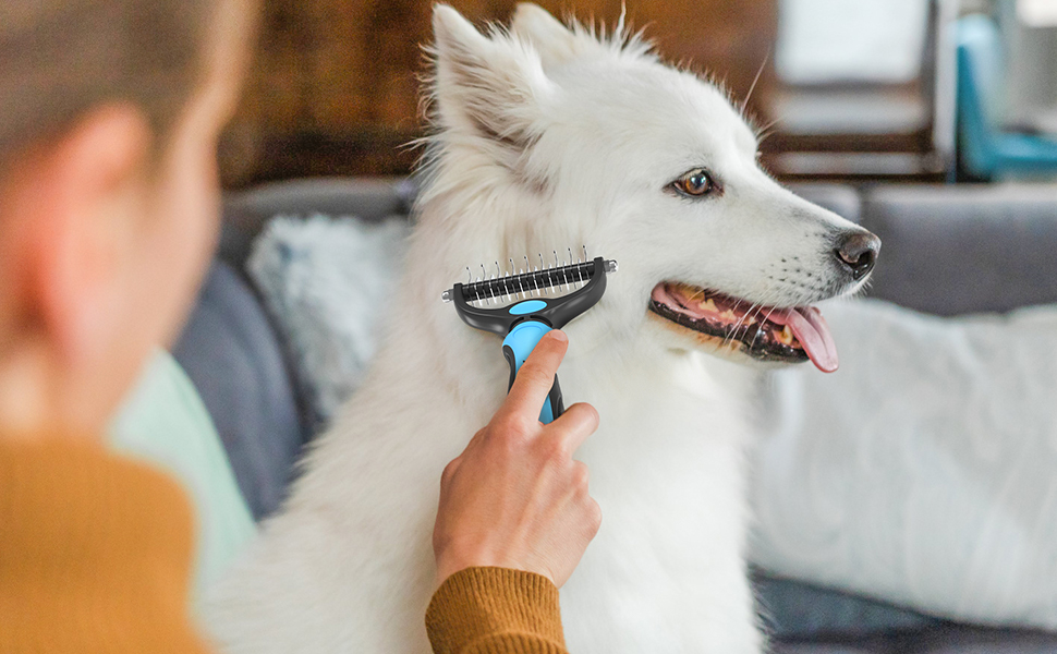 dog brush