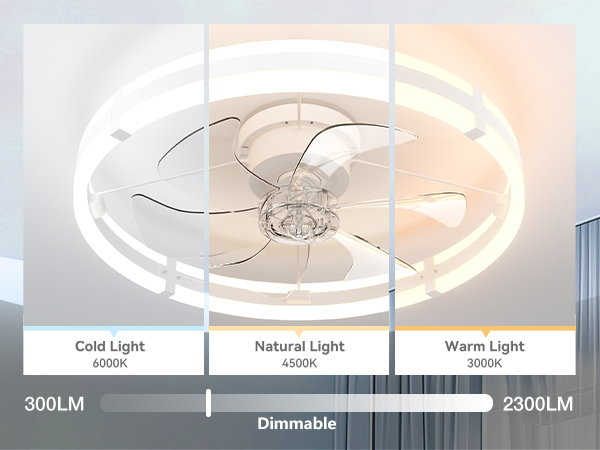 Ceiling fan