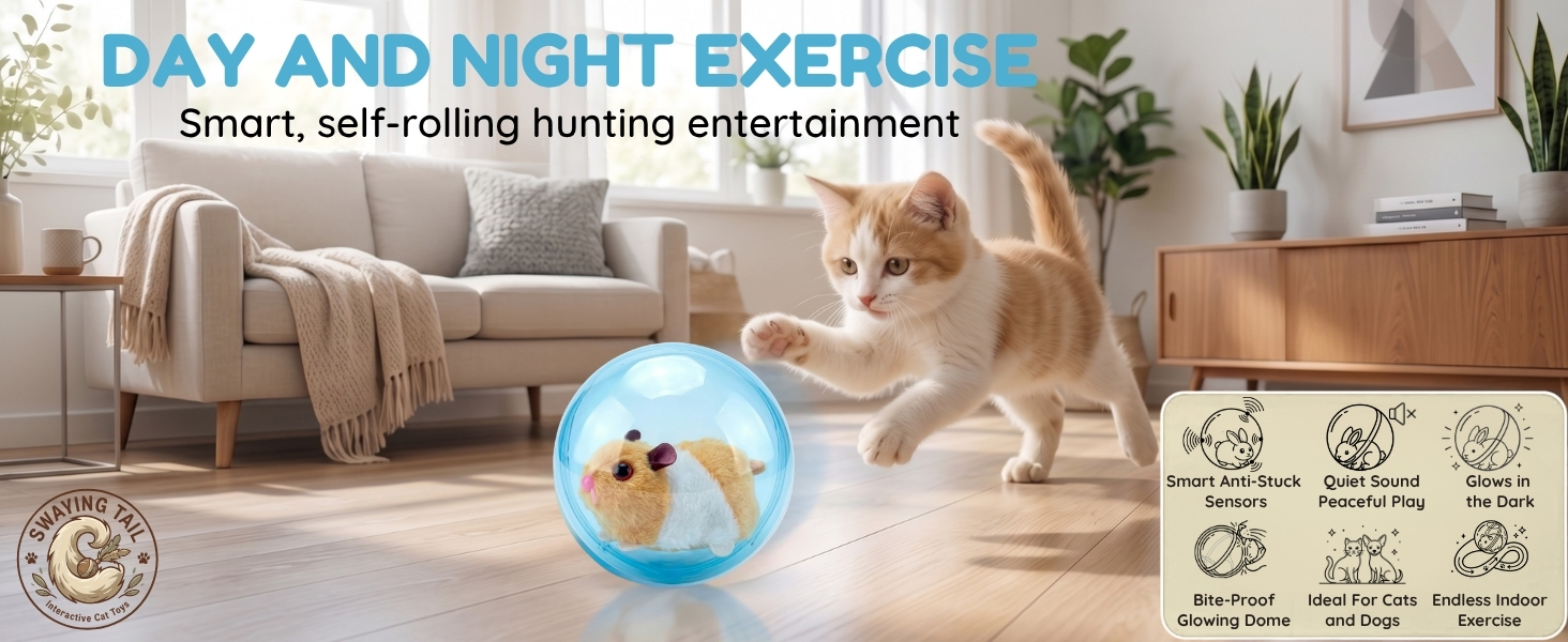Orange kitten pouncing at an automatic cat toy, the perfect cat toys for indoor cats to exercise.