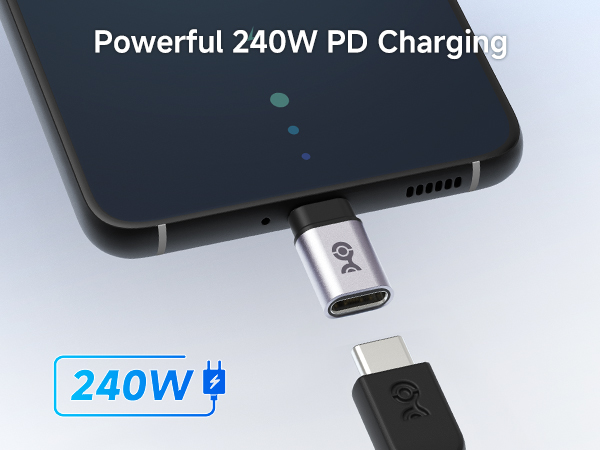 10Gbps USB C to USB Adapter