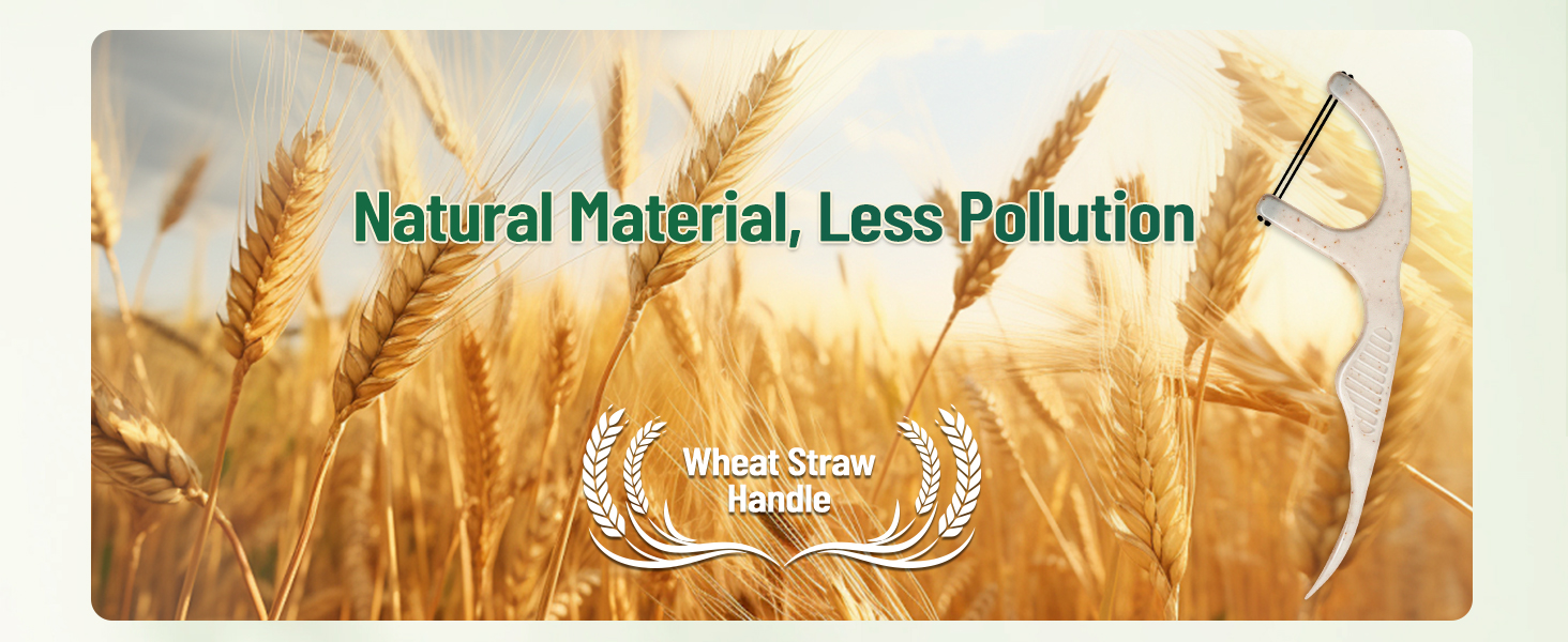 Natural wheat straw floss picks