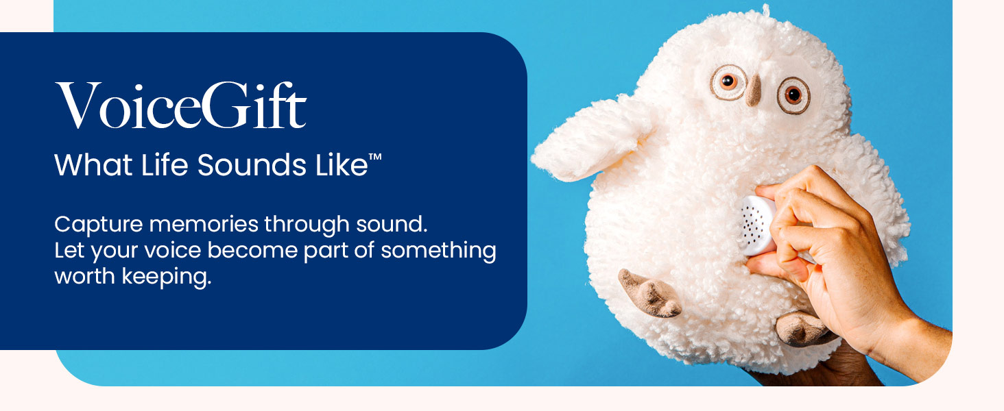 Toys, mini me, plush toys, pillows, recorder, messages, audio recorder, sound