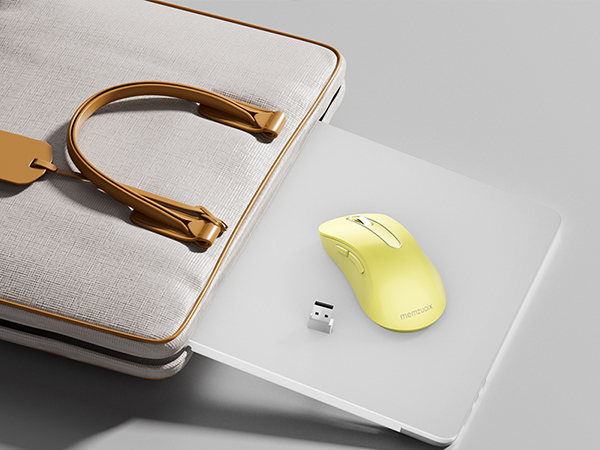 mouse