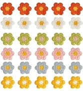 30Pcs Flower Patches, 6 Colors Daisy Sew On Embroidered Appliques, Cute Valentines to Crochet Flo...