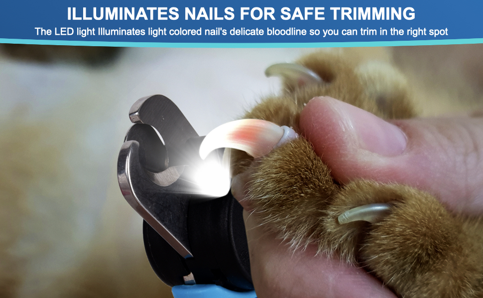 ILLUMINATES NAILS