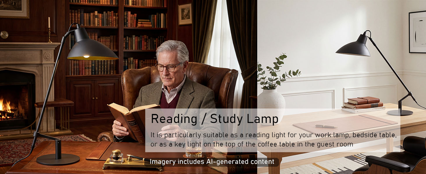 Reading/Study Lamp