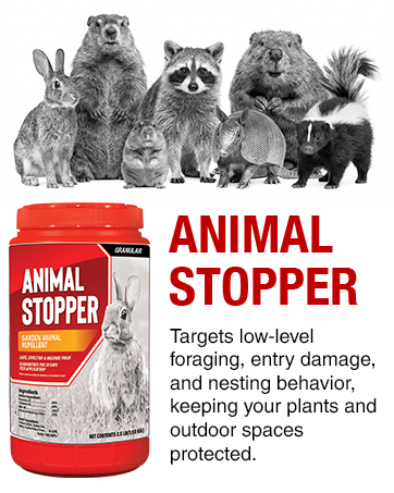 Animal Stopper