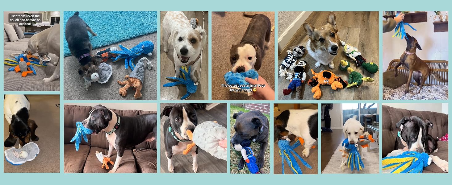 dog toys