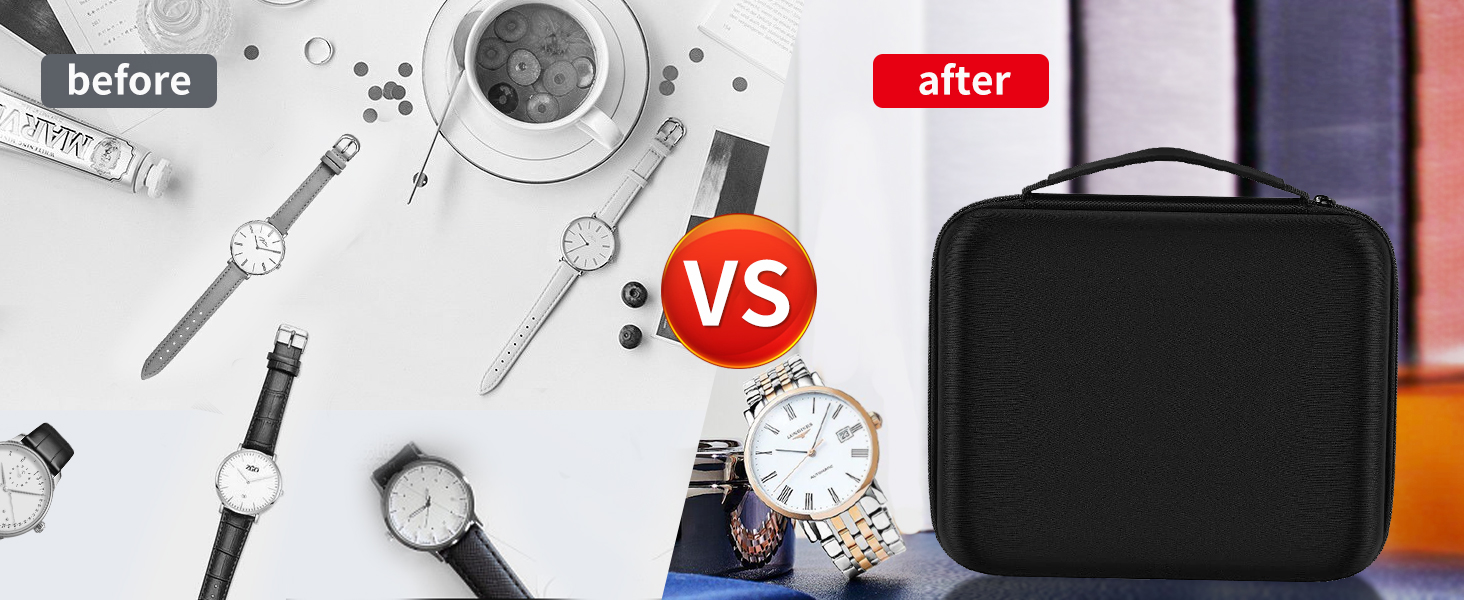 travel watch storage