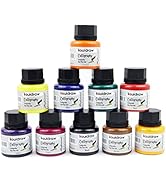 Liquidraw Calligraphy Ink Set of 10 for Dip Pens Holder Writing 35ml Calligraphy Pens Brush Ink A...