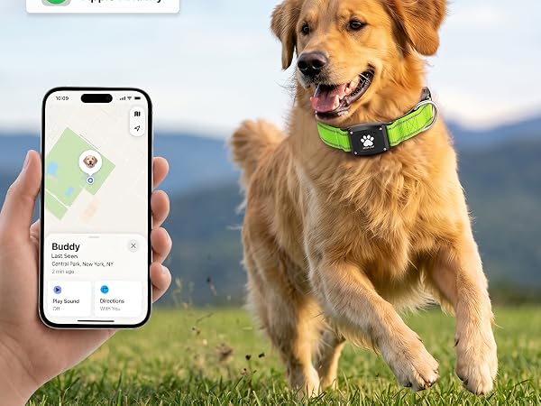 Find My app map with dog location no monthly fee IP68 rating up to 12 month battery iOS