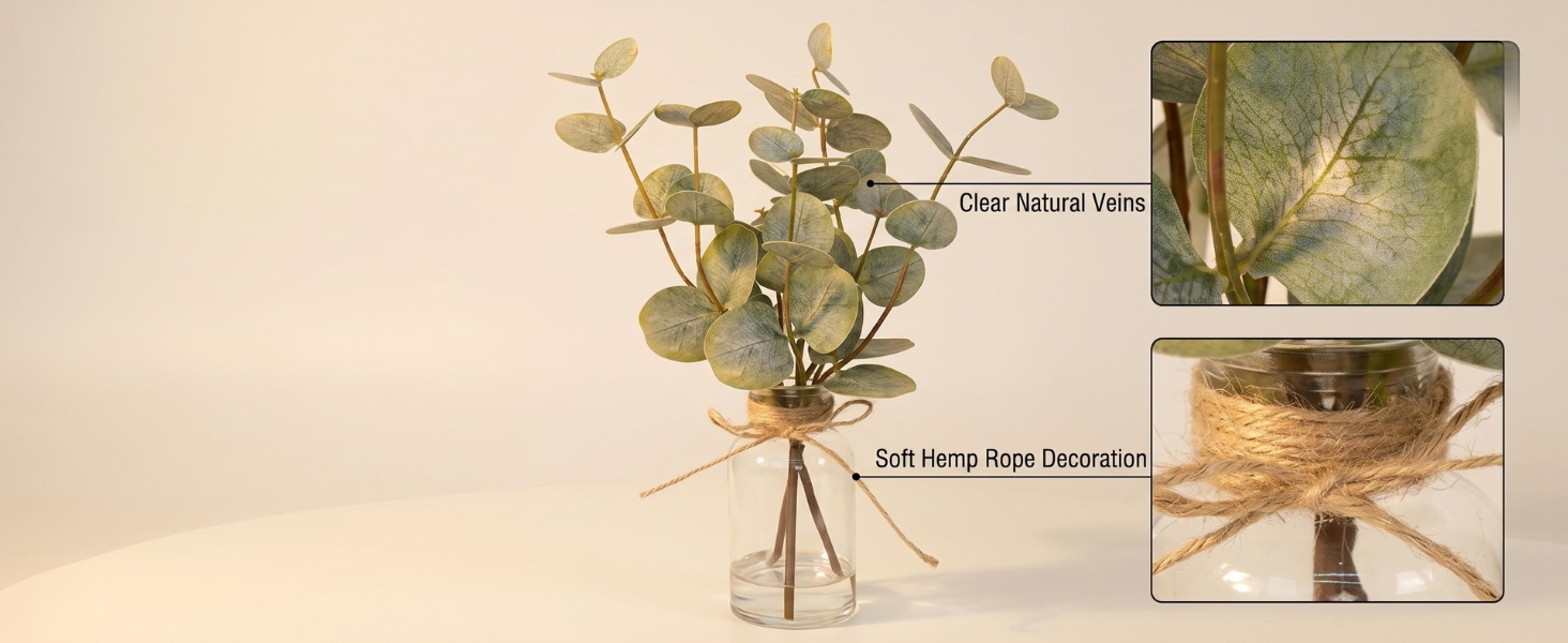 Double-Sided Green Eucalyptus